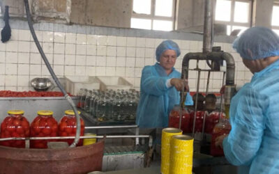 На Херсонщині відновив роботу консервний завод