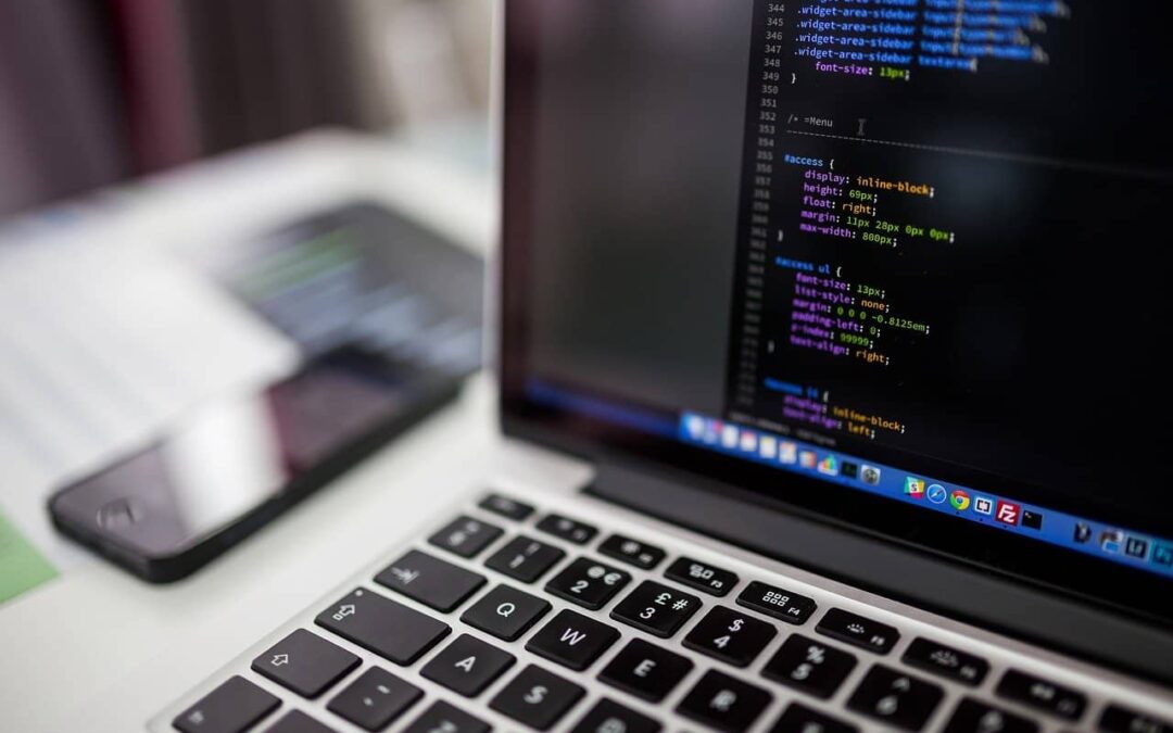 Переселенці можуть отримати стипендії на навчання в IT-сфері