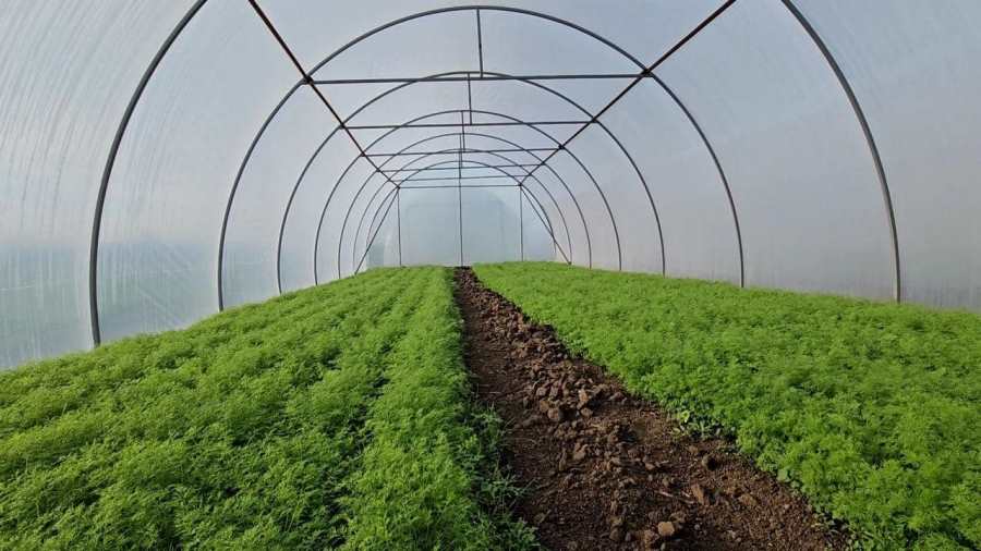 У Тягинській громаді за підтримки благодійників встановили теплиці для переселенців