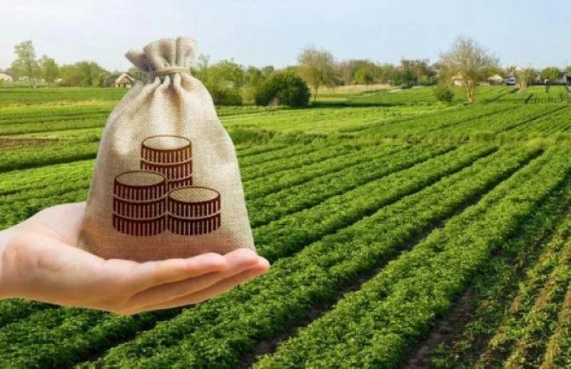 Аграріям Херсонщини можуть переглянути ставки мінімального податкового зобов’язання