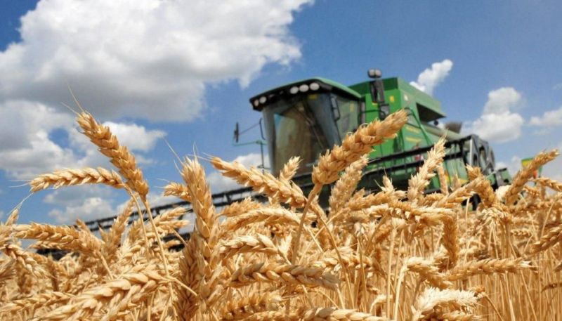 Аграріям Херсонщини компенсують знищені посіви